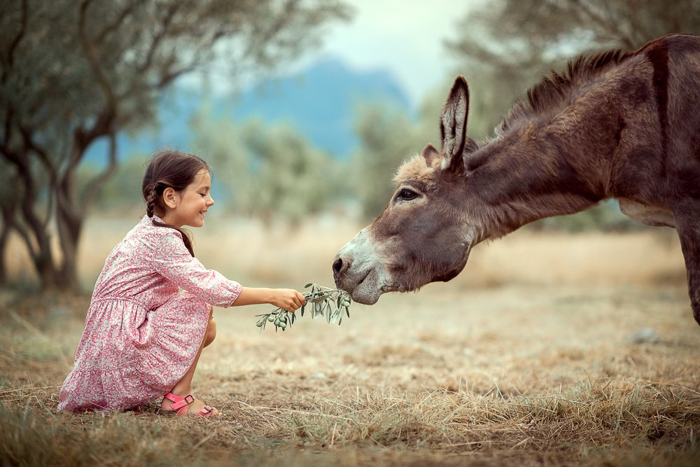 Photograph by Nadya Hiltova