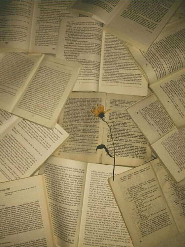 Photograph by Matilda Miraka