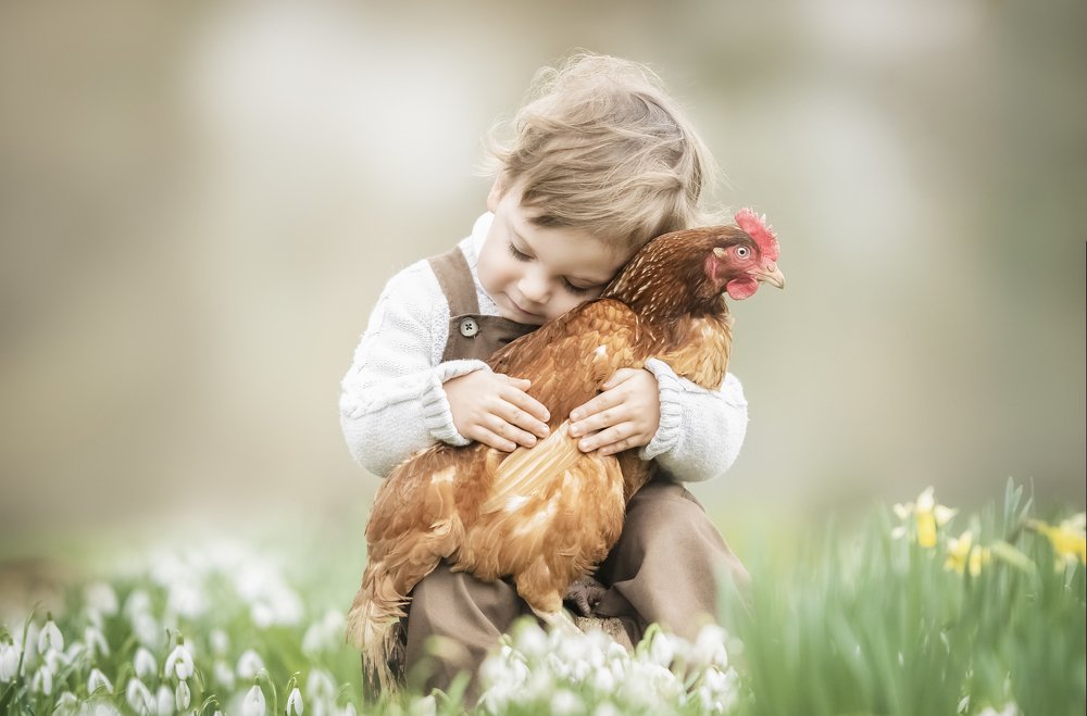 Фотография автора Daniel Baksza