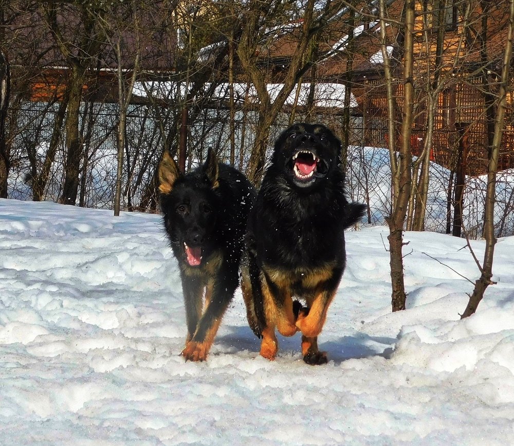 Photograph by Анастасия Рысь