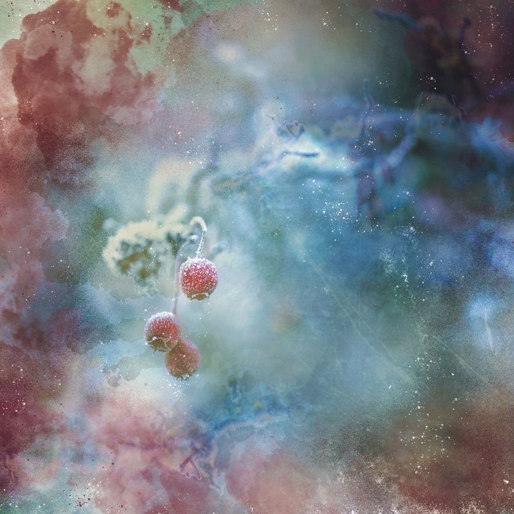 Photograph by Kristina Zvinakeviciute