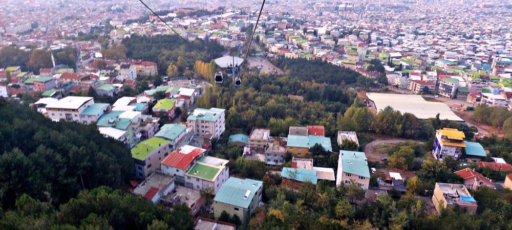 Photo #4220344