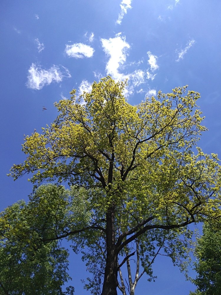 Photograph by Светлана Замятина