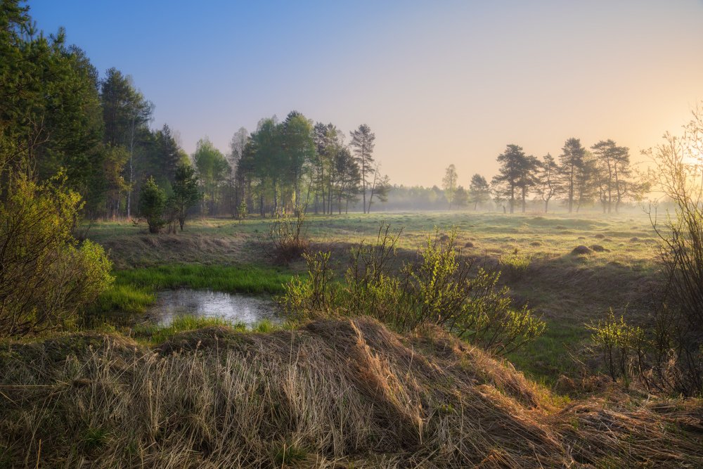 Photograph by Максим Сухов