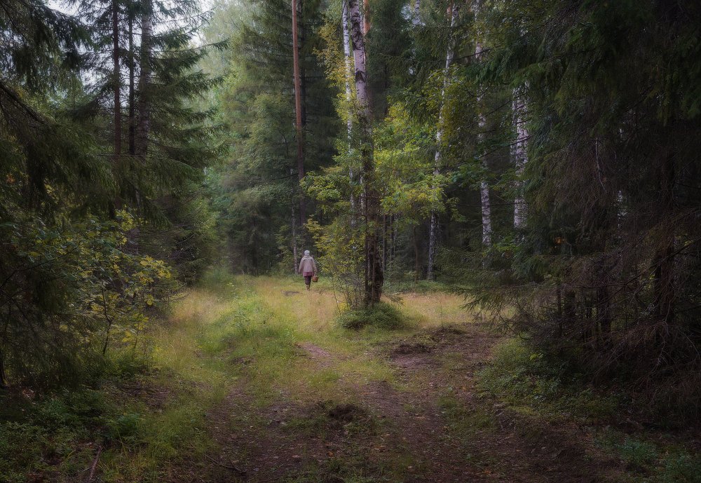 Photograph by Максим Сухов