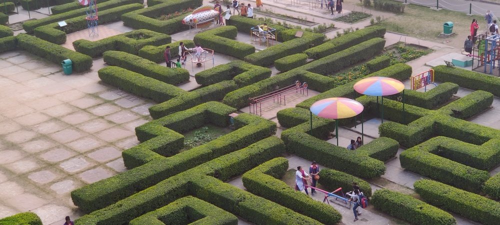 Photograph by vivek Kumar