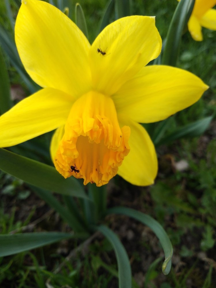 Что же внутри?