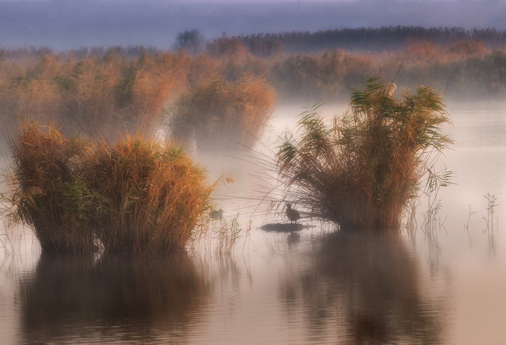 Photograph by Роман Любимский