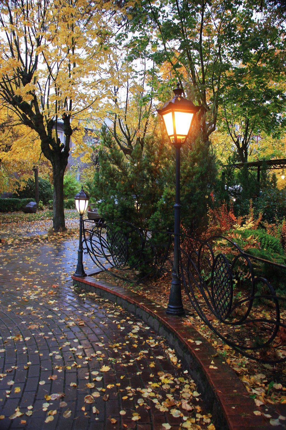Photo #4220653