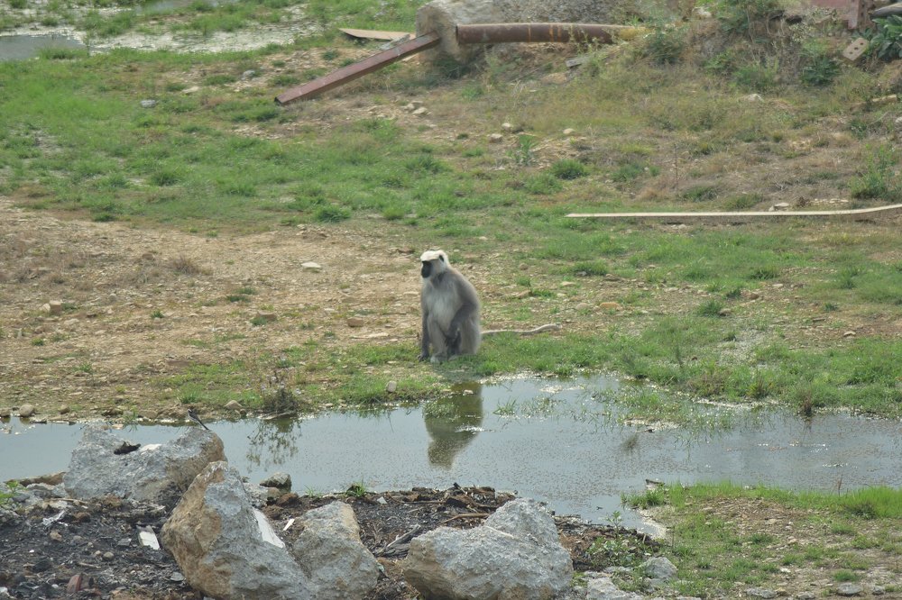 Photograph by Suhans Bansal