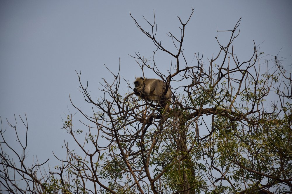 Photograph by Suhans Bansal
