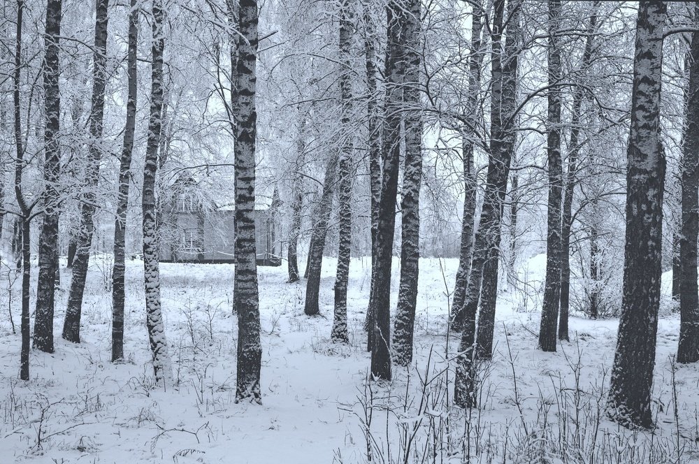 ДОМИК ЗА ЛЕСОМ