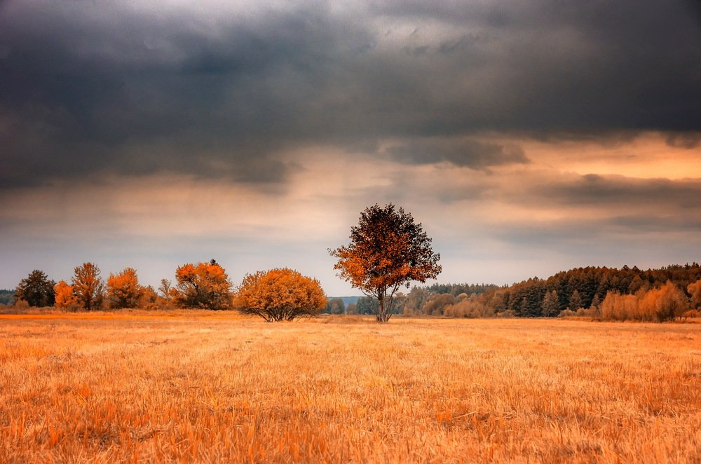 Photograph by Анна Соколова