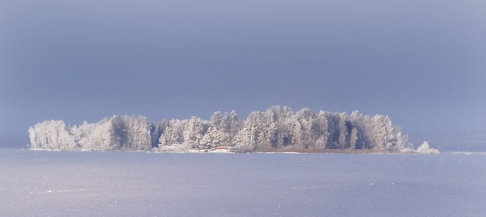 Птичий остров на реке Унжи