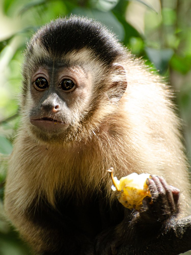 Photograph by Данил Луговой