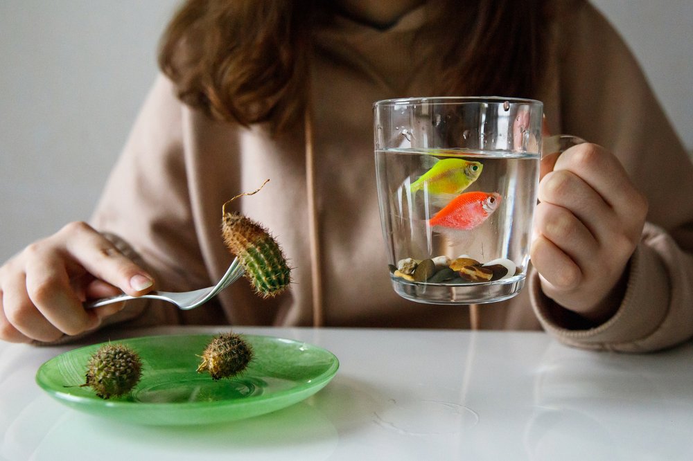 Фотография автора Гудкова Светлана