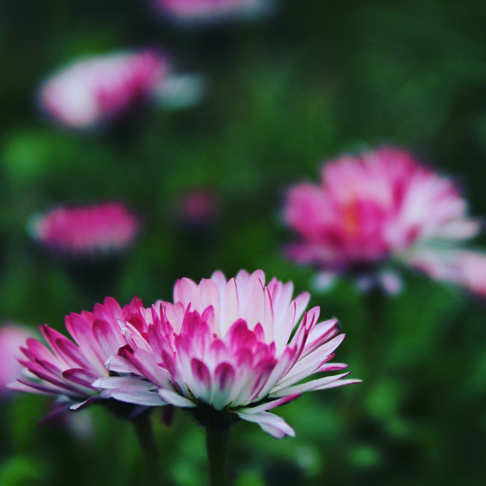 Photograph by Egita Bebrite