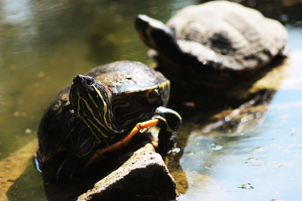 Photograph by Anastasia Kodatenko