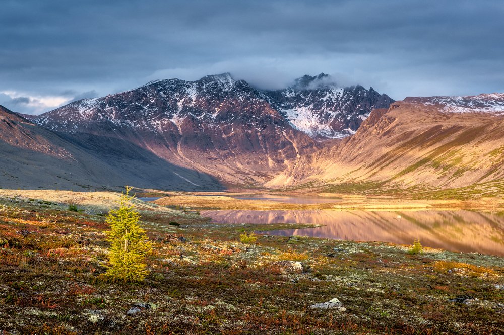 Photograph by Alfia Safuanova