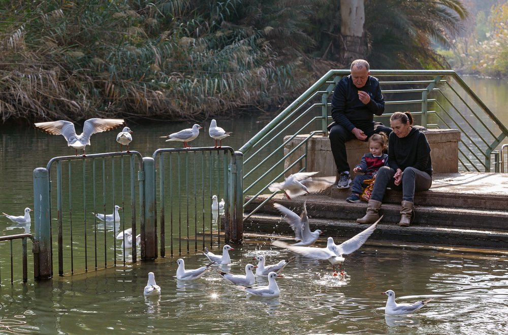 Фотография автора Сергей Середовой