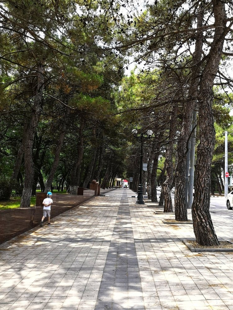 Photograph by Виктория Федосеенко