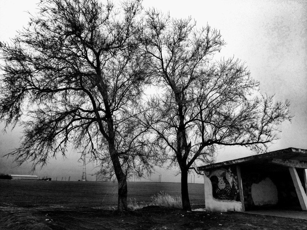 Чёрное и белое. Непогода