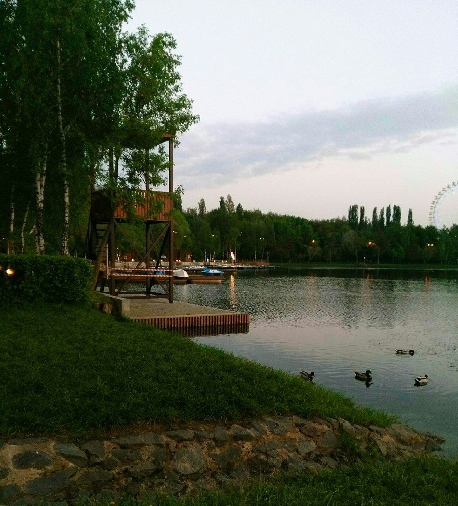 Photograph by Виктория Федосеенко