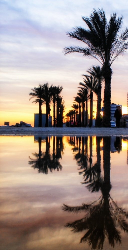 Reflection