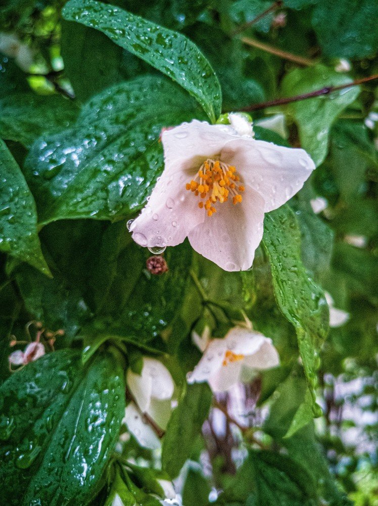 Photograph by Виктория Федосеенко