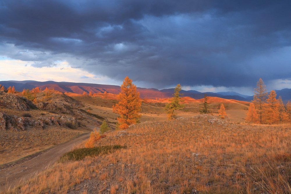 Photograph by Евгения Чех