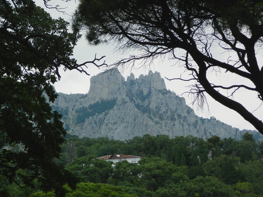 Photograph by Никитина Анна