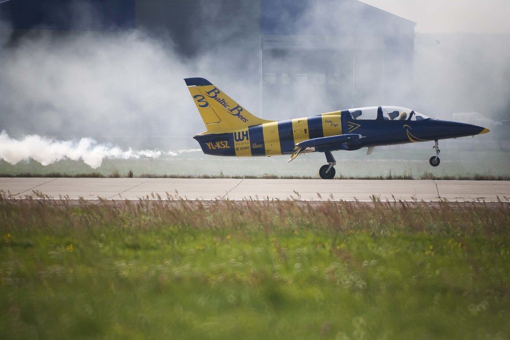 Балтийские пчелы