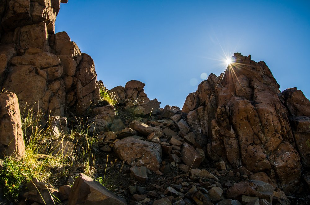 Тяга к солнцу