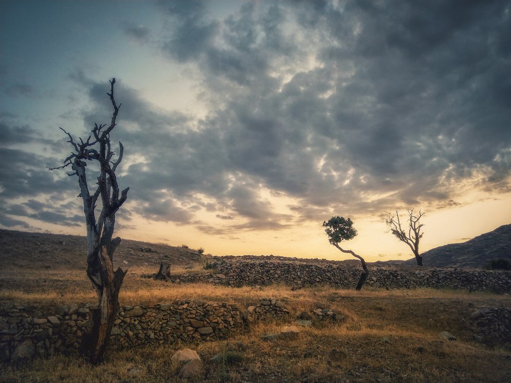 Photograph by ali yeganeh