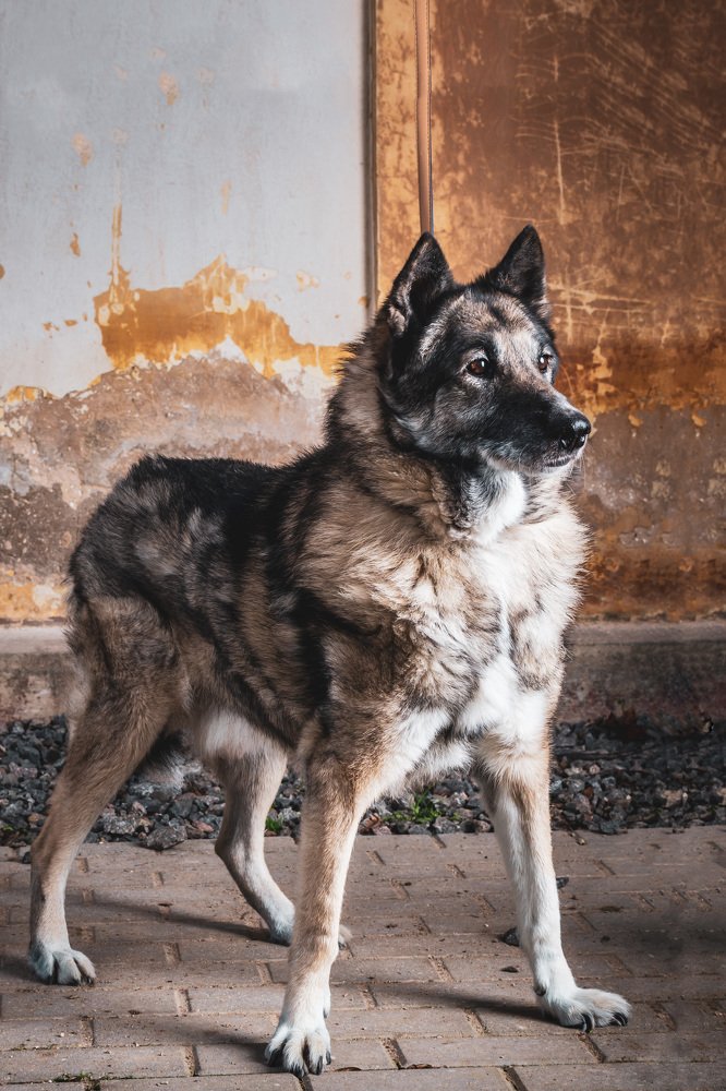 Photograph by Agne Speliene