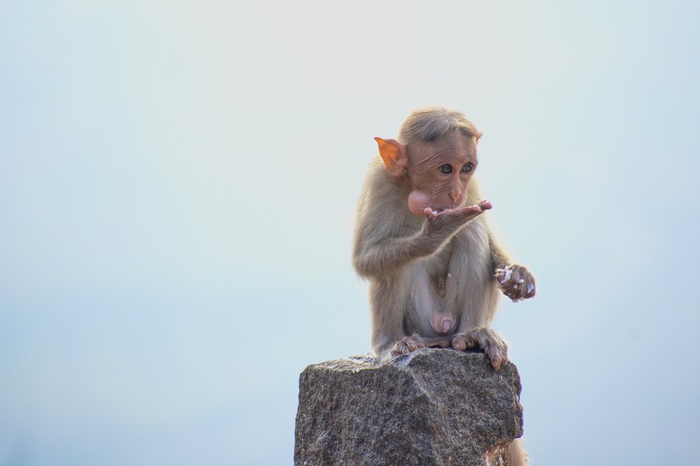 Photograph by Prabu Devan