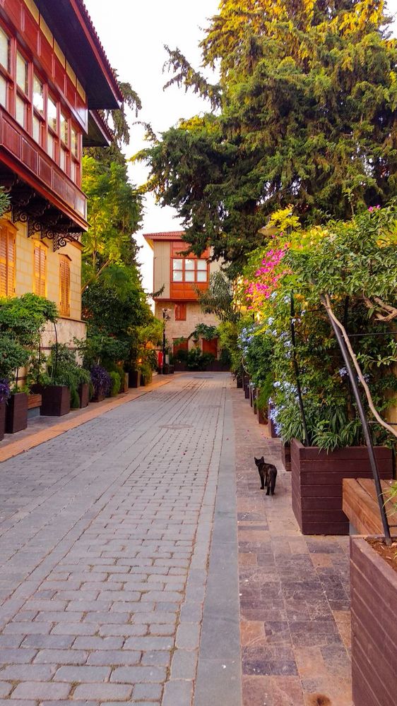 Photograph by Натали Озкан