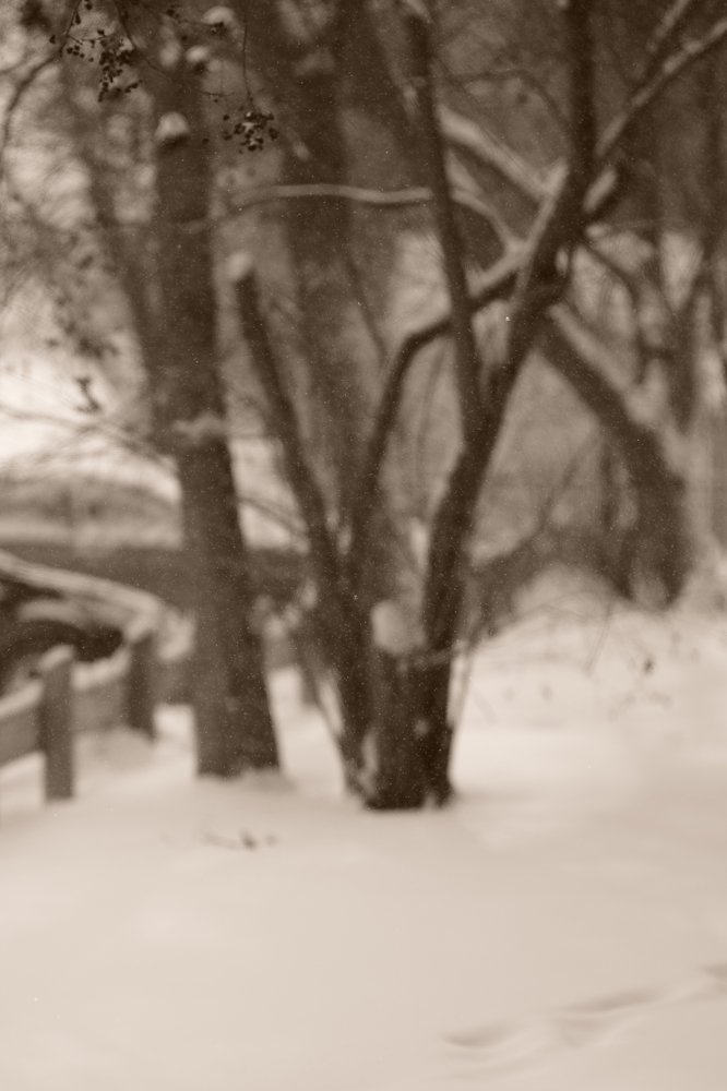 Photograph by Игорь