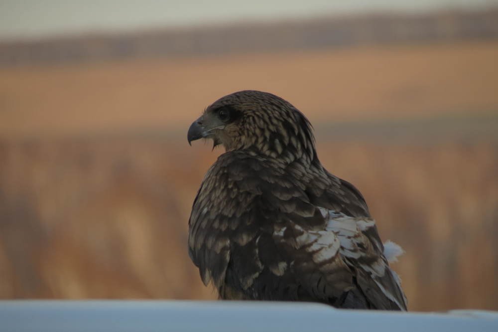 Photograph by Лия Самс