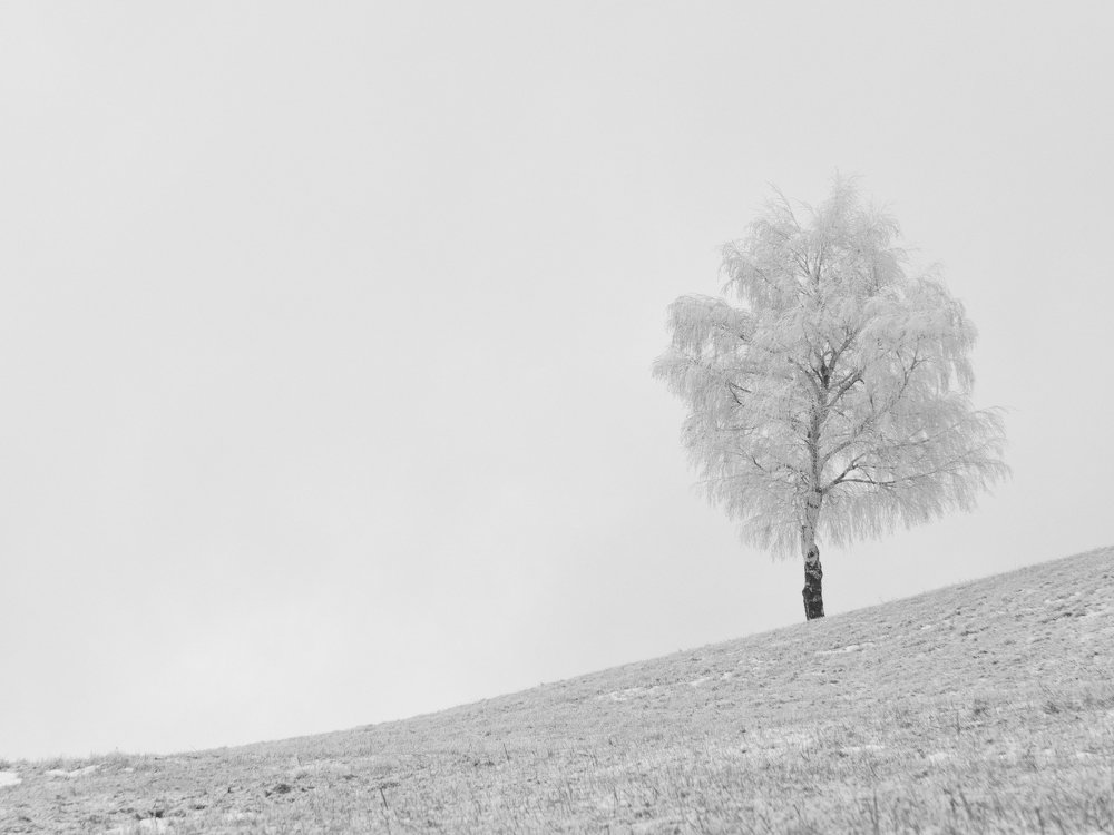 Photograph by Jaroslav Vyhnicka