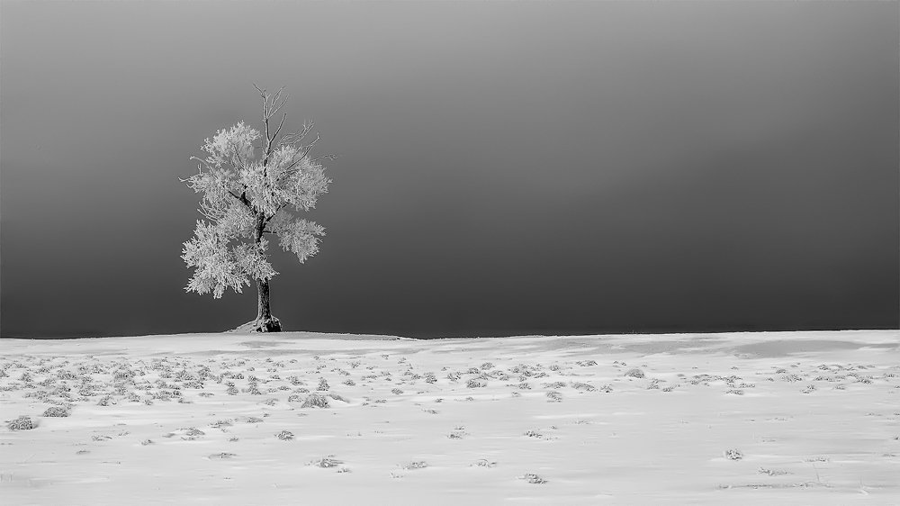 Photograph by Леонид Максименко