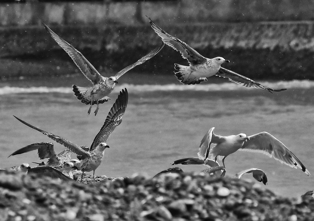 Photograph by Леван Габечава