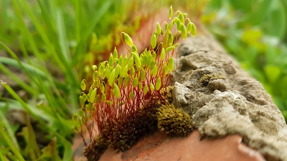 Photograph by Мария Глотова