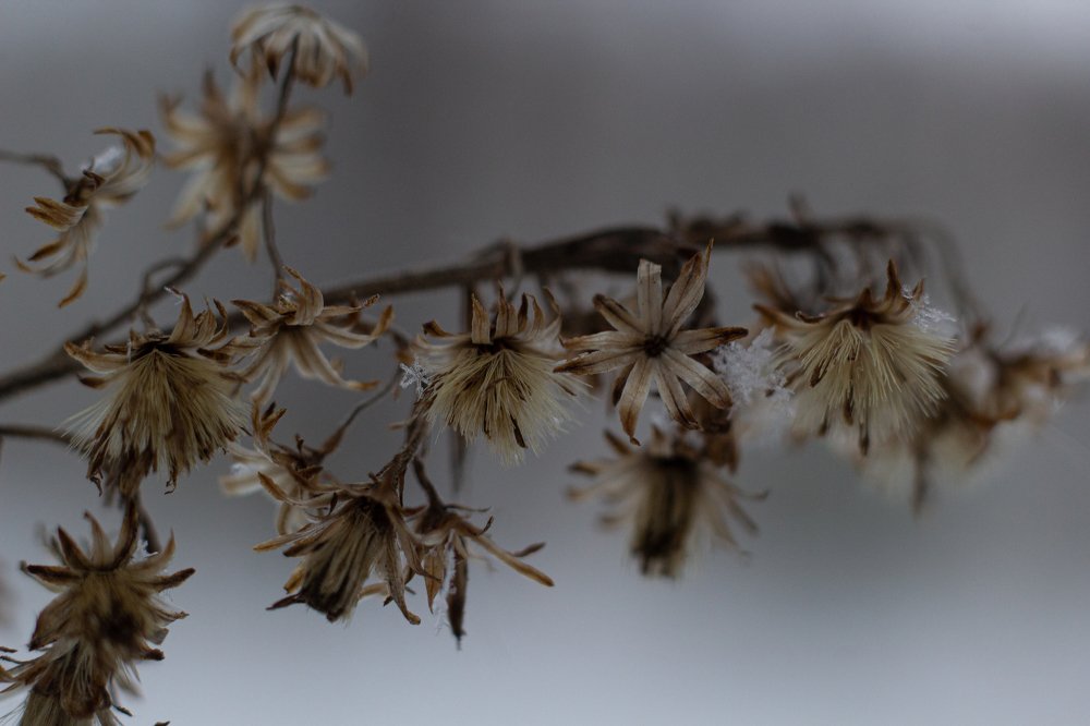 Photograph by Мария Глотова