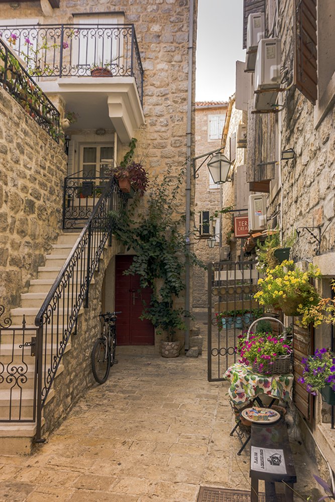 Фотография автора Milena Ivanova