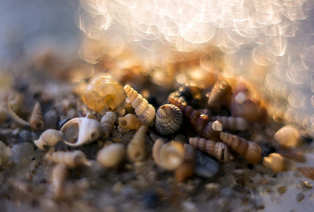 Photograph by Екатерина Топалова