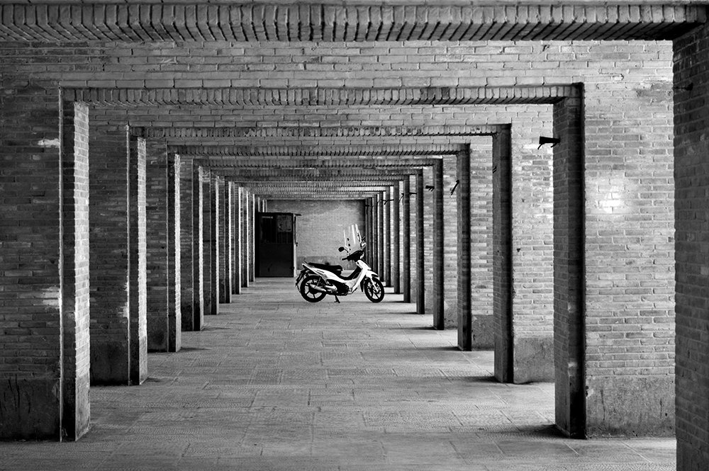 Photograph by abolfazl fathian dastgerdi