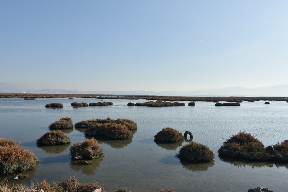 Фотография автора Sercan Özyurt