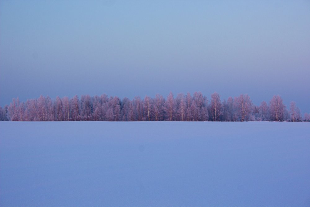 Зимний минимализ