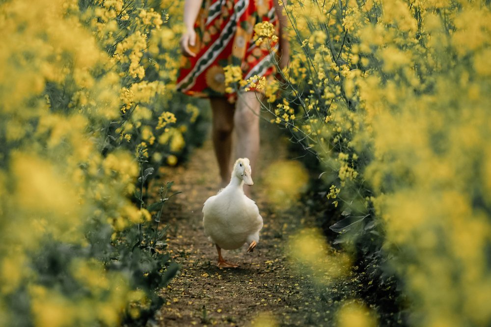 Фотография автора Евгения Грин